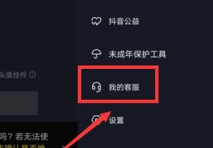 在抖音里買(mǎi)東西怎么官方介入？