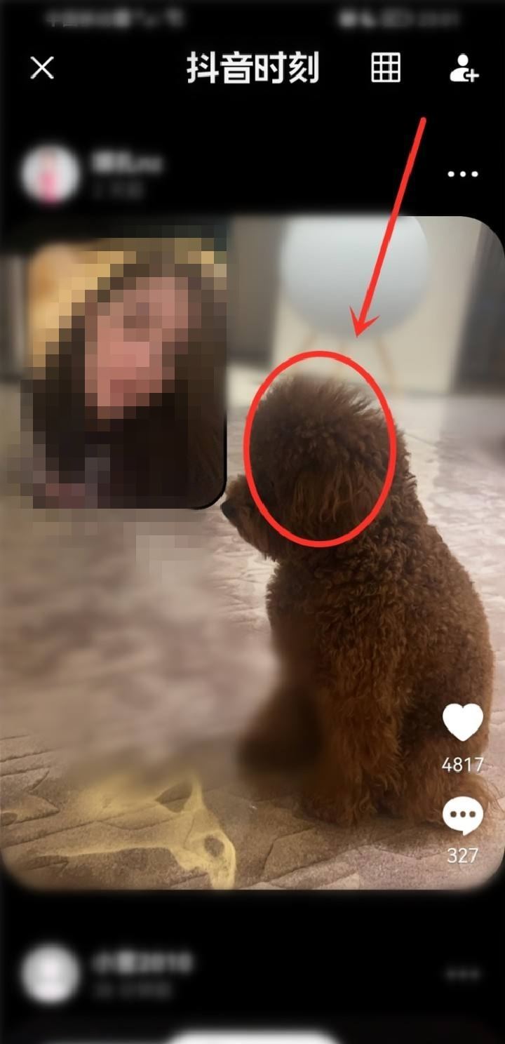 別人的抖音時刻怎么看？