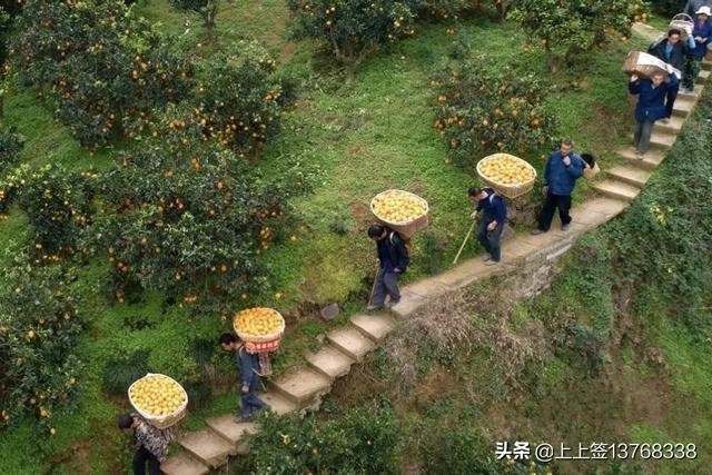 拼多多無(wú)貨源怎么發(fā)貨？無(wú)貨源一件代發(fā)怎么做？