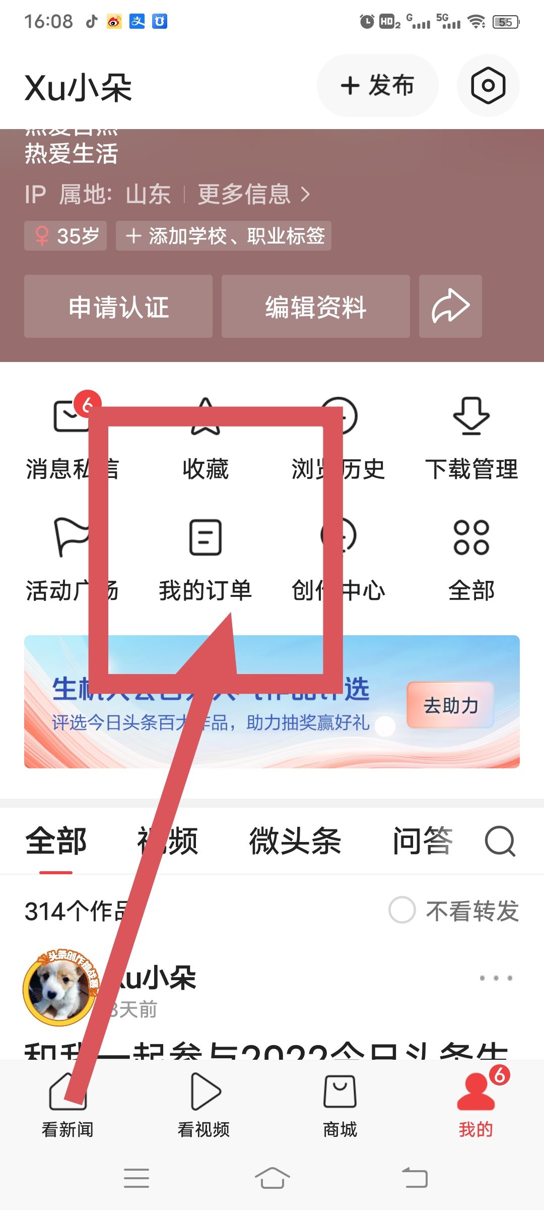 如何在頭條抖店平臺查詢訂單？