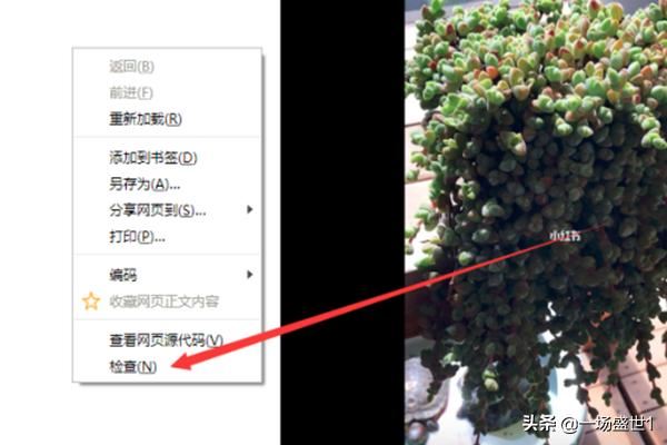 怎么下載保存電腦網(wǎng)頁版小紅書上的視頻？