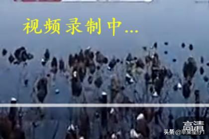 如何保存電腦中的視頻緩存文件？