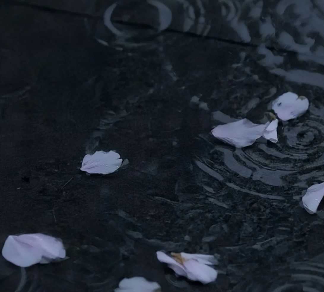 怎么把抖音的紅包小浮窗關(guān)了？