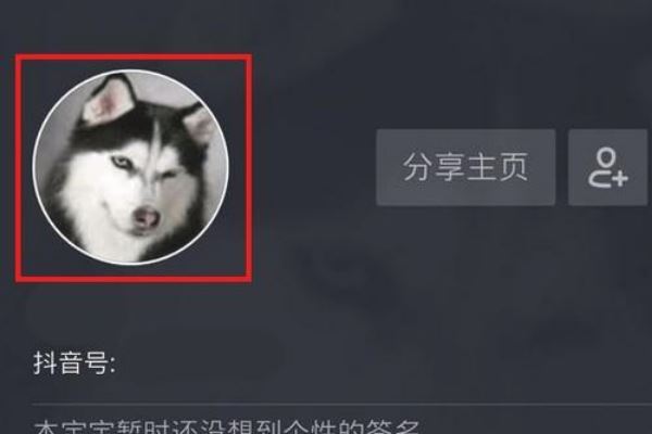 抖音怎么制作透明頭像？