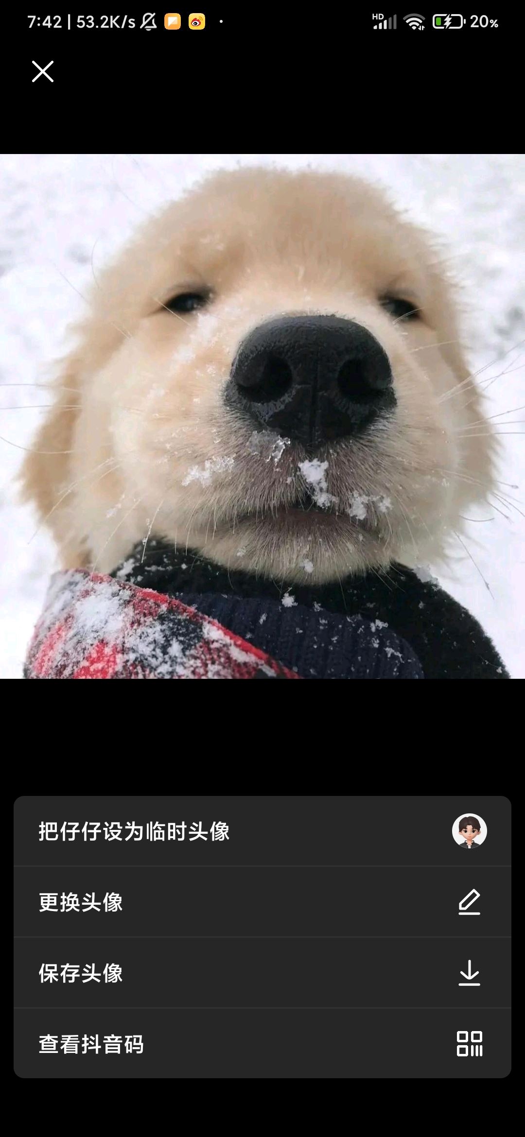 抖音怎么更改頭像？