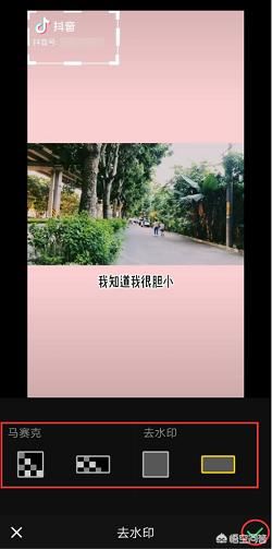 怎么去抖音水印？