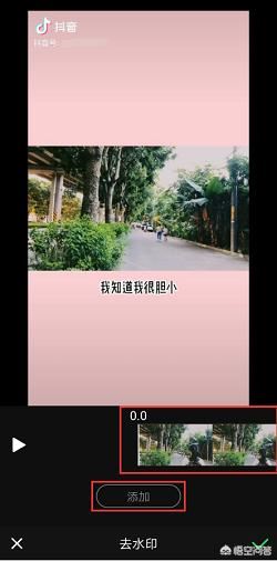 怎么去抖音水印？