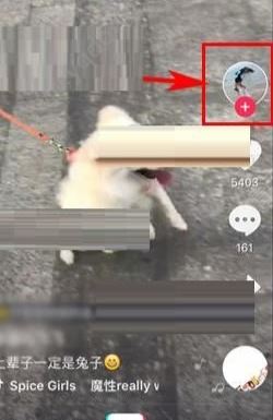 抖音怎么拉黑對方？