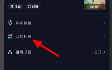 抖音上照片上的標(biāo)簽如何添加？