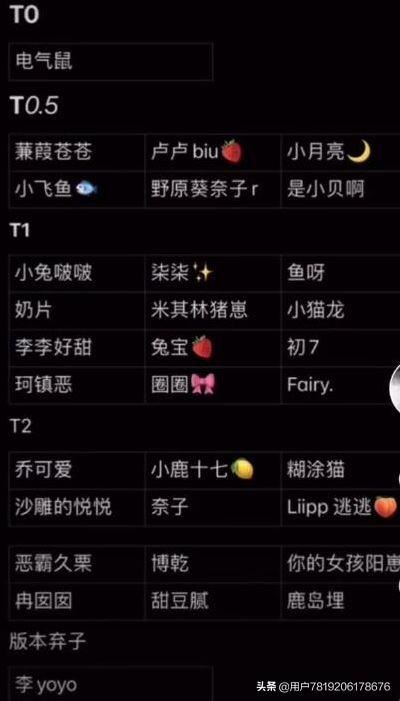 抖音t1是什么意思？