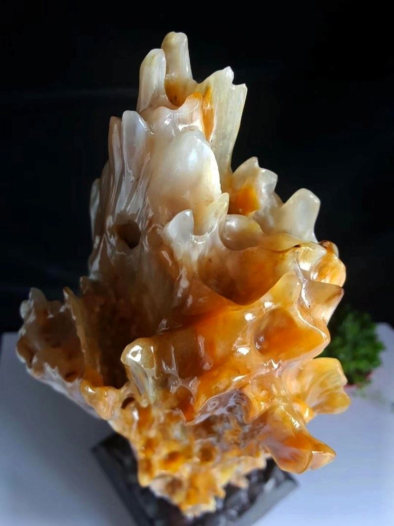 直播間的緬甸樹(shù)化玉是真的嗎？