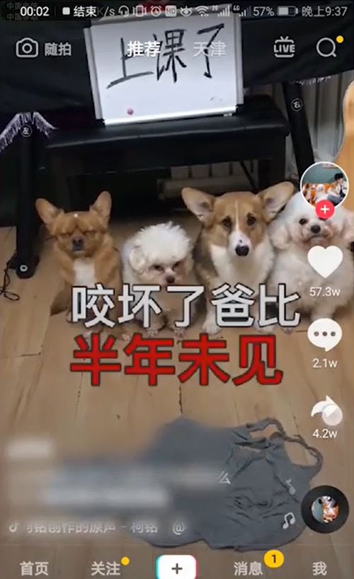 抖音設(shè)置鈴聲的方法？