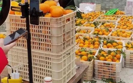 普通人如何在抖音創(chuàng)業(yè)？
