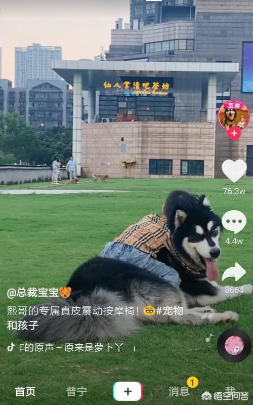 抖音短視頻如何更換綁定手機(jī)號(hào)？