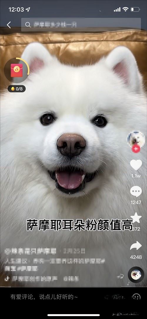 刷抖音怎么全屏無(wú)文字遮擋？