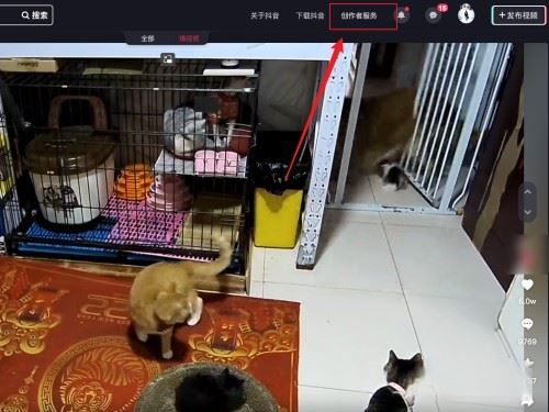 抖音怎么拍合集系列？