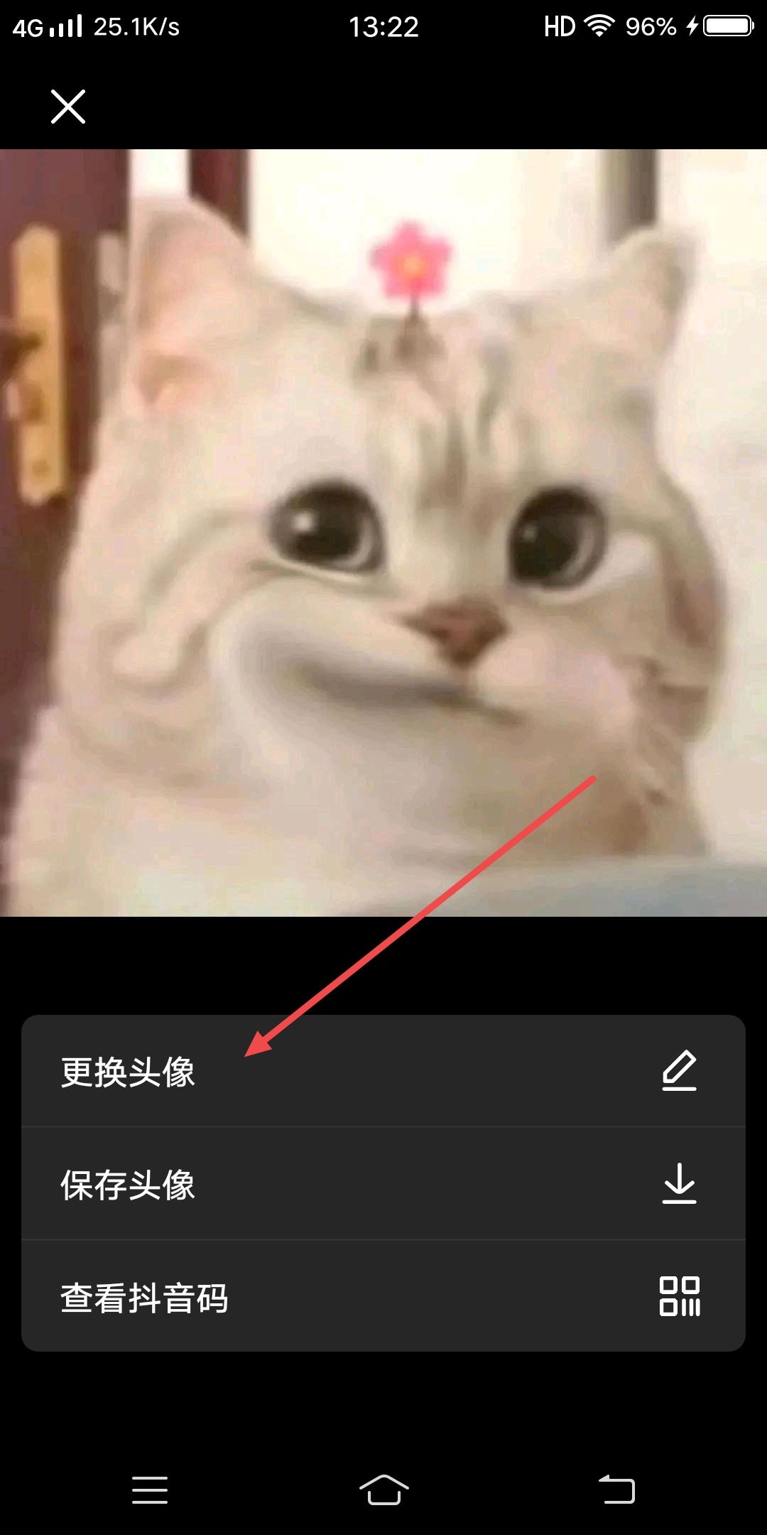怎么把抖音轉(zhuǎn)動(dòng)碟片變?yōu)樽约侯^像？