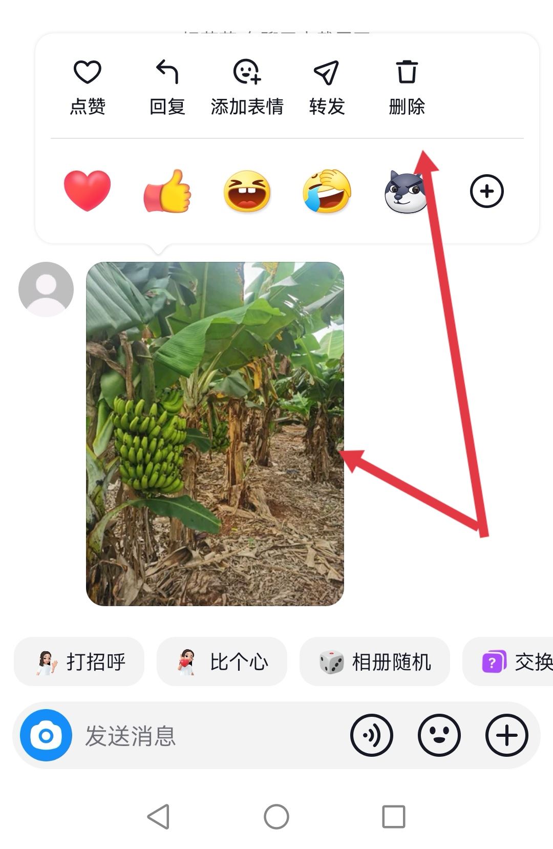 抖音回復的圖片可以刪除嗎？