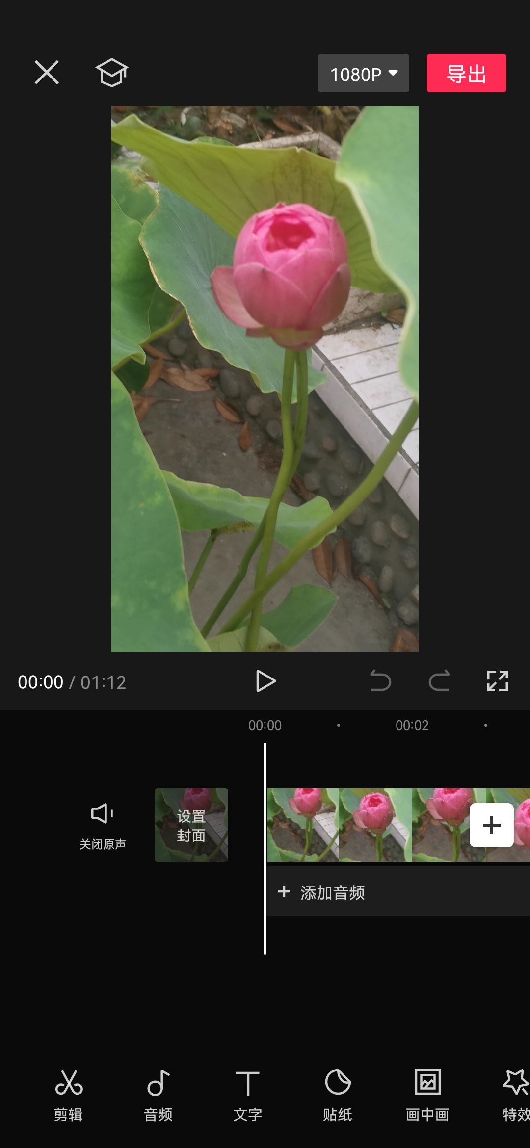 抖音字幕黃底黑字怎么弄？