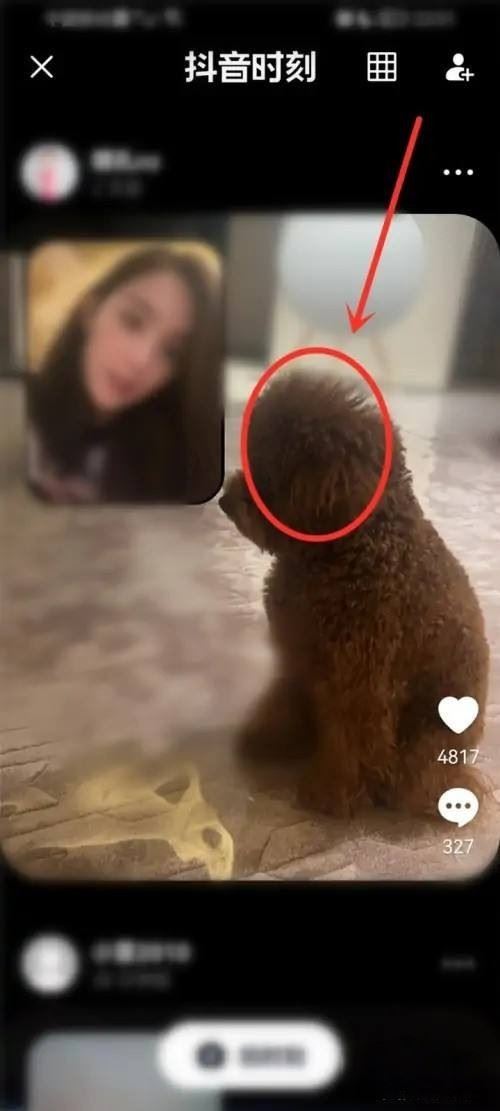 怎么看到別人的抖音時刻？