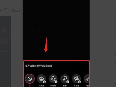抖音特效的語音怎么弄？