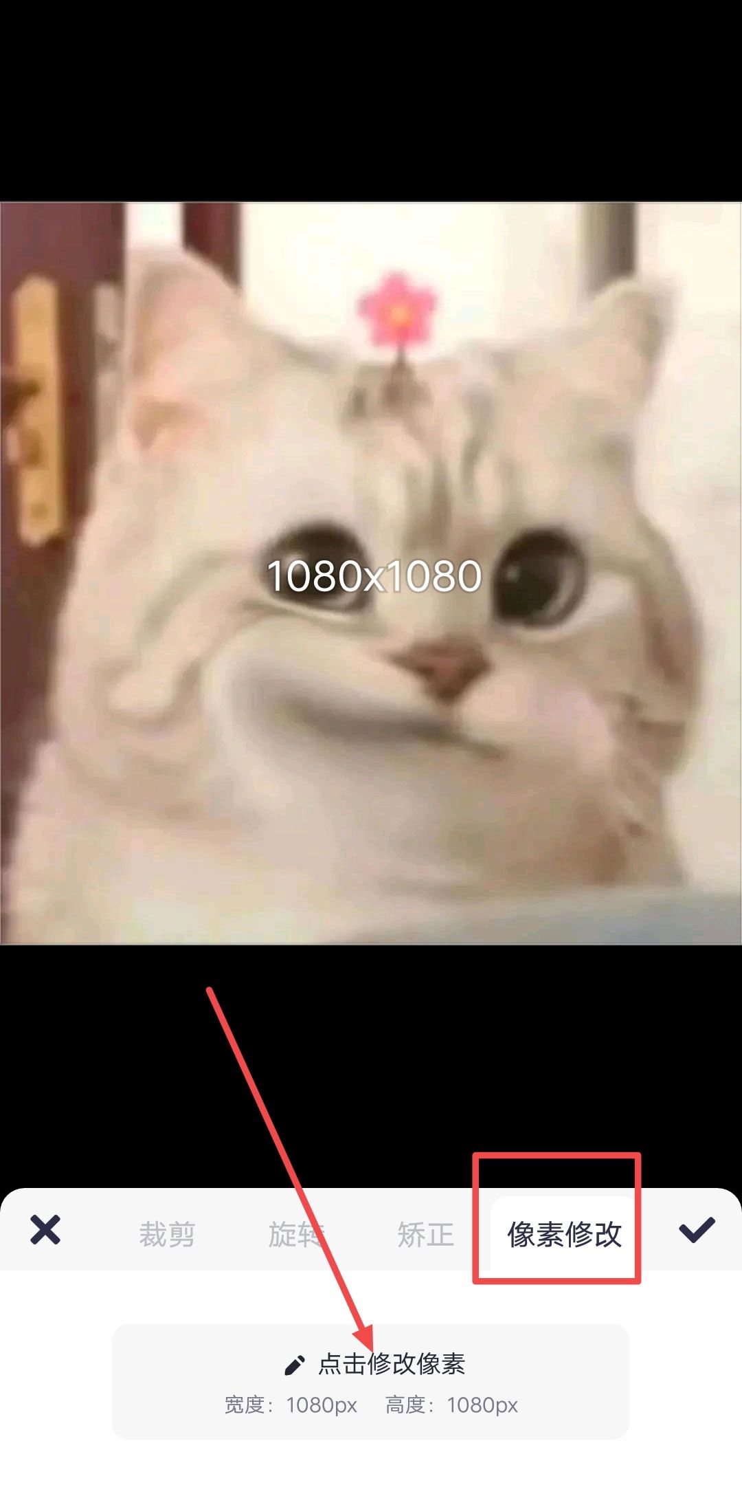 抖音頭像太大怎么把照片尺寸變??？