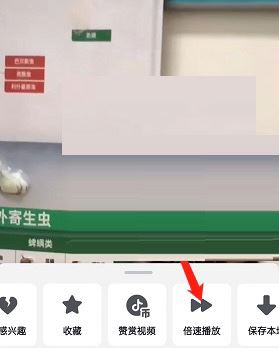 抖音怎么雙倍速看？